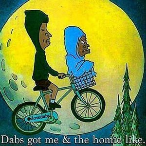 Meet your Posher, Delbert